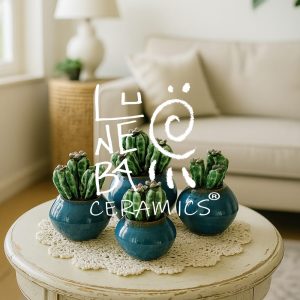 Set Cactus